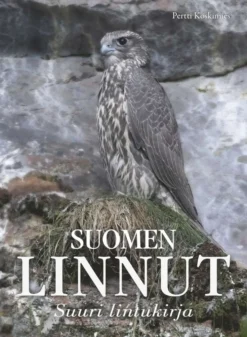 Koskimies, Suomen linnut - Suuri lintukirja