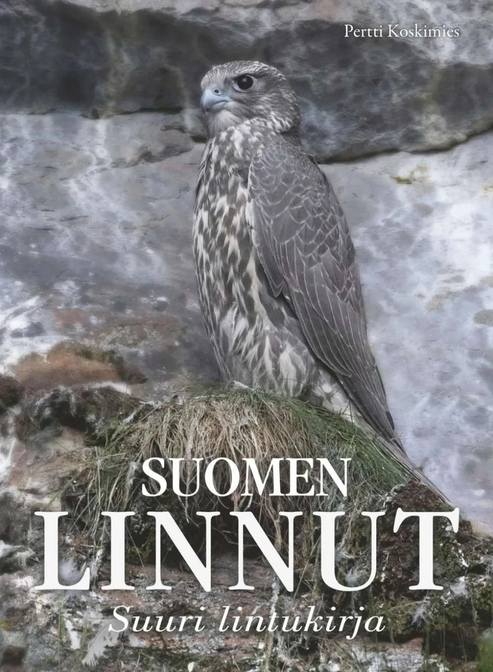 Koskimies, Suomen linnut - Suuri lintukirja