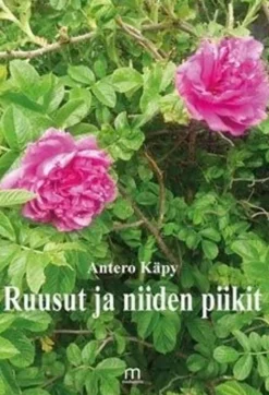 Käpy, Ruusut ja niiden piikit