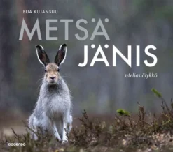 Kujansuu, Metsäjänis - Utelias älykkö