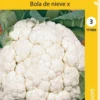 Kukkakaali Bola De Nieve A