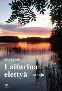 Laituri, Laiturina elettyä