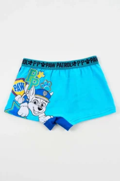Lasten Ryhmä Hau bokserit 2-pack HY30039