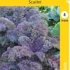 Lehtikaali 'Scarlet'