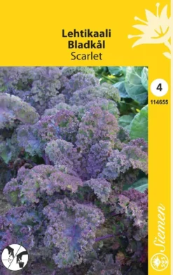 Lehtikaali 'Scarlet'