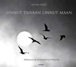 Leivo, Linnut taivaan linnut maan - Valokuvia ja kertomuksia linnuista