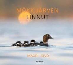 Leivo, Mökkijärven linnut