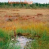 Lempiäinen, Suossa kulkijat