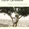 Lindblom, Två år i Jerusalem - Glimtar ur en annorlunda vardag