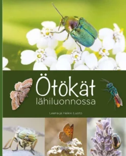 Luoto, Ötökät lähiluonnossa