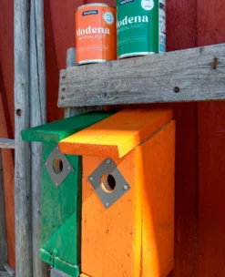 Maali Modena oranssi 250ml