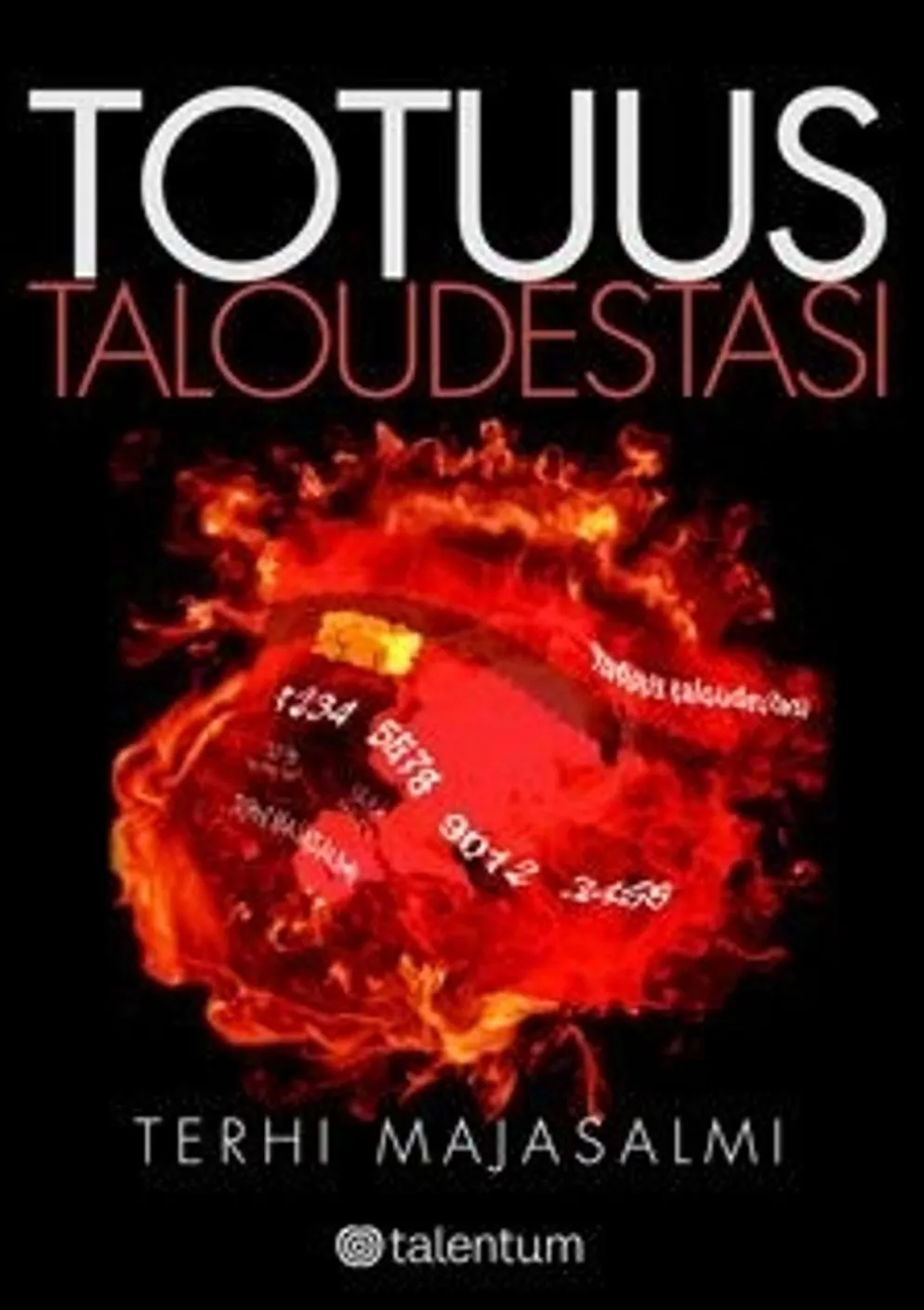 Majasalmi, Totuus taloudestasi