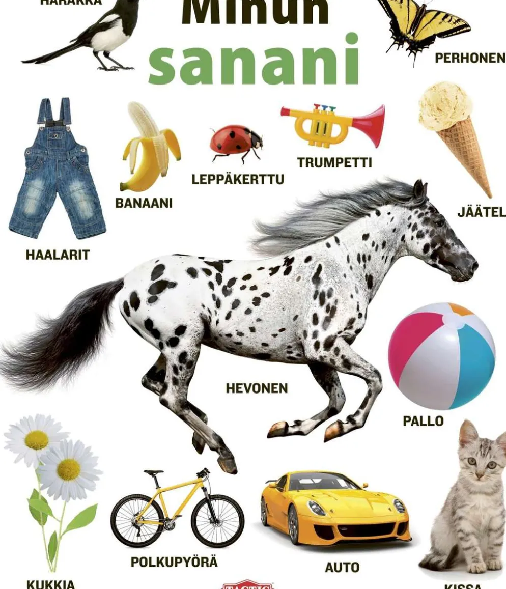 Minun sanani - Kuvasanakirja