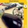 Munahedelmä Black Beauty