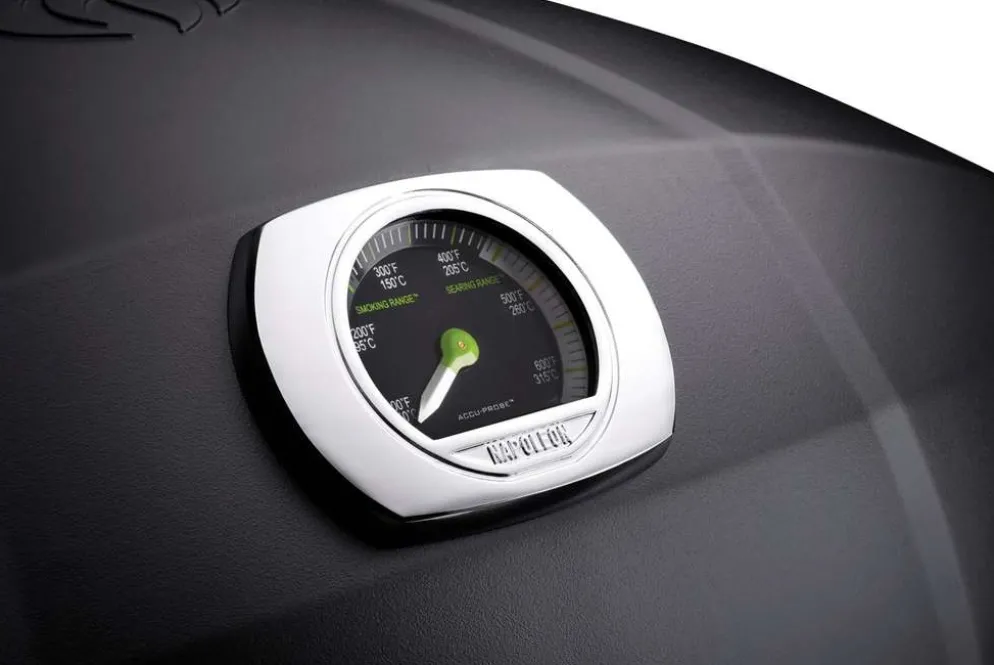 Napoleon TravelQ PRO285E sähkögrilli