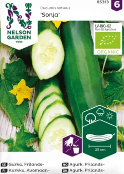 Nelson Garden Basic kurkku, avomaan-, Sonja, pitkä, luomu