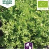 Nelson Garden Basic salaatti, endiivi-, Wallone, luomu
