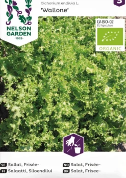 Nelson Garden Basic salaatti, endiivi-, Wallone, luomu