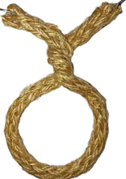 Nelson Garden Jute Twister päällystetty rautalanka 5m