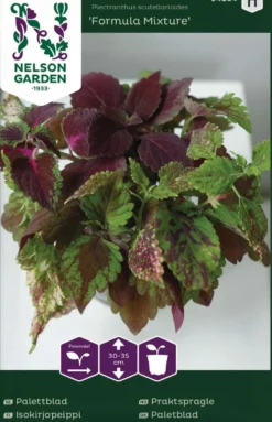 Nelson Garden Premium isokirjopeippi, Formula Mixture