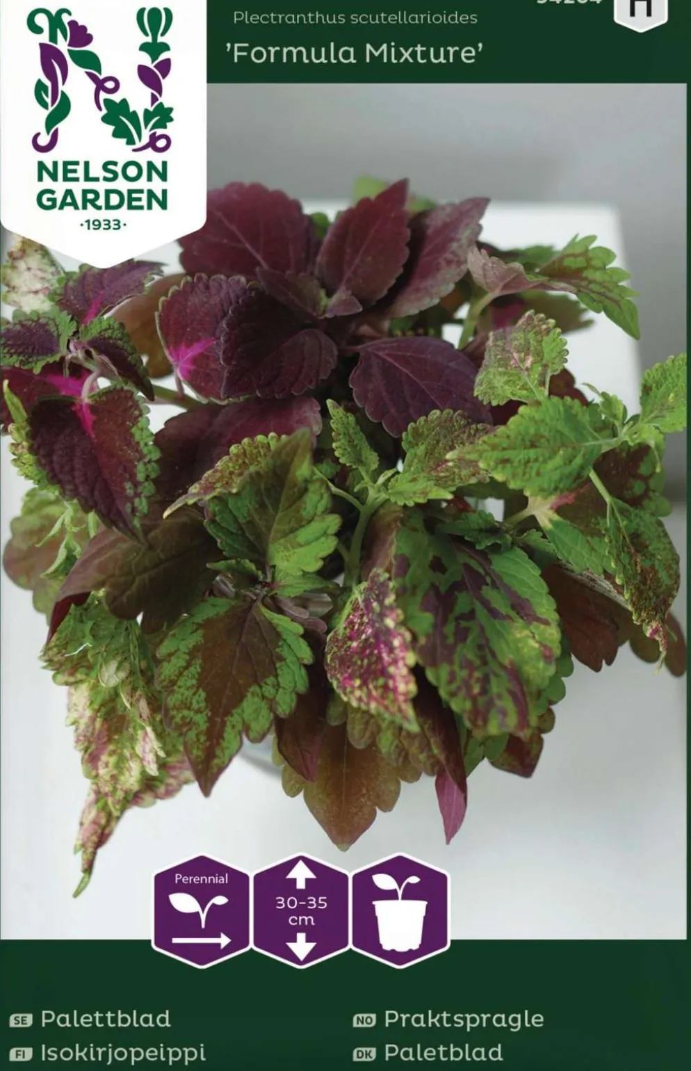 Nelson Garden Premium isokirjopeippi, Formula Mixture