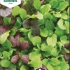 Nelson Garden Premium kaali, pinaattikiinan-, mix