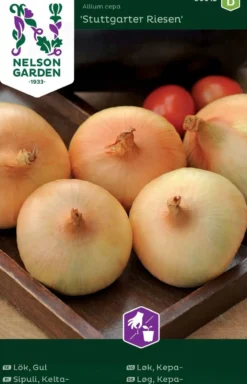 Nelson Garden Premium siemen sipuli, kelta-, Stuttgarter Riesen