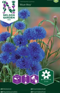 Nelson Garden siemen kaunokki, ruis-, Blue Boy