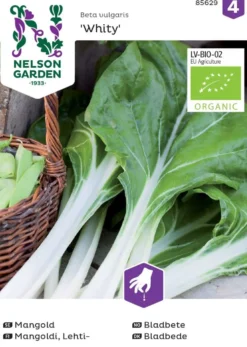 Nelson Garden siemen mangoldi, lehti-, Whity, luomu