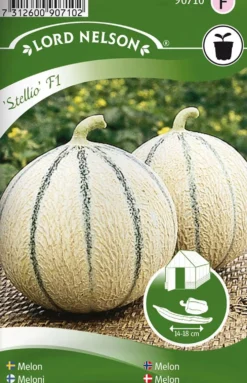 Nelson Garden siemen meloni, Stellio F1