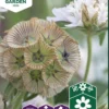 Nelson Garden siemen microherne