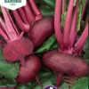 Nelson Garden siemen micropunakaali