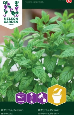 Nelson Garden siemen minttu