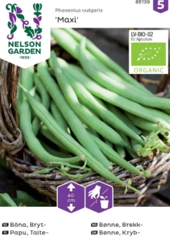 Nelson Garden siemen papu, taite-, Maxi, luomu