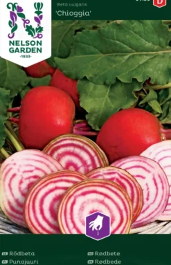Nelson Garden siemen punajuuri, Choggia, raita