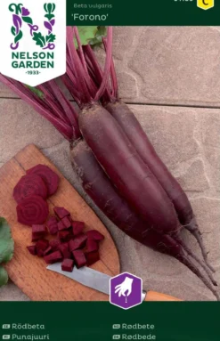 Nelson Garden siemen punajuuri, Forono, pitkä
