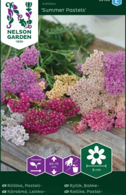 Nelson Garden siemen röllika, pastell-, Summer Pastels
