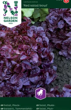 Nelson Garden siemen salaatti, tammenlehti-, Red Salad Bowl