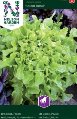 Nelson Garden siemen salaatti, tammenlehti-, Salad Bowl