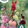 Nelson Garden siemen salkoruusu, tarha-, Charter's Double
