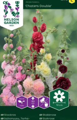 Nelson Garden siemen salkoruusu, tarha-, Charter's Double