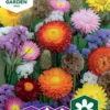 Nelson Garden siemen seos, kuivakukka-