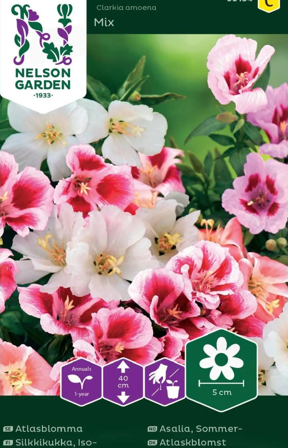 Nelson Garden siemen silkkikukka, iso-, väriseos