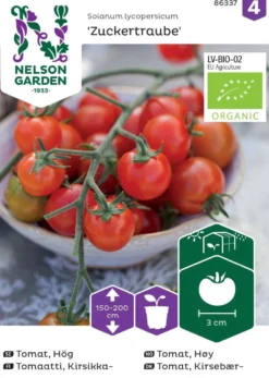 Nelson Garden siemen tomaatti, Zuckertraube, luomu