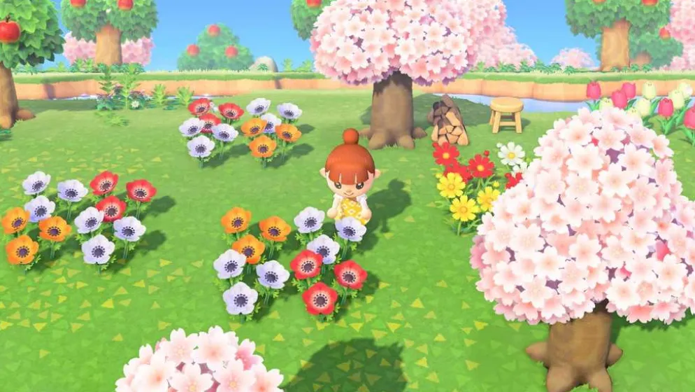 Nintendo Switch Animal Crossing: New Horizons