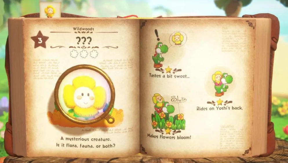 Nintendo Yoshi and the Mysterious Book