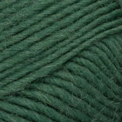 Novita lanka Hygge Chunky 100 g metsä 380