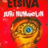 Nummelin, Yksityisetsivä