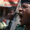 Paloniemi, Kongo - Romaani