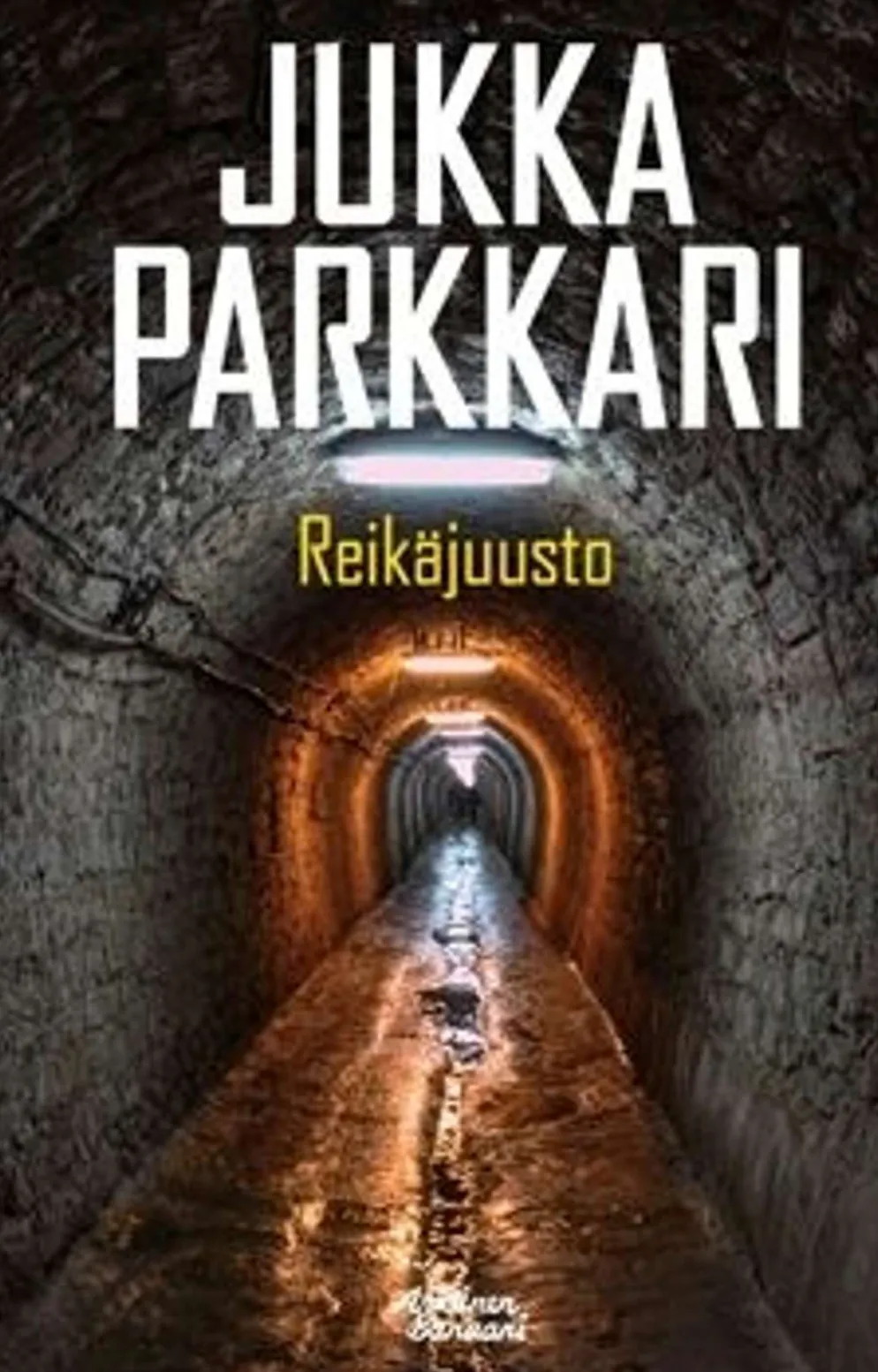 Parkkari, Reikäjuusto - Romaani sotilaallisesta vakoilusta ja vastavakoilusta Suomessa 2003